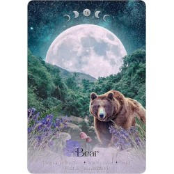 Lunar Magic Oracle 