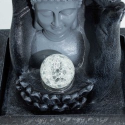 Fantana Arteziana – Cap si Mana Buddha.