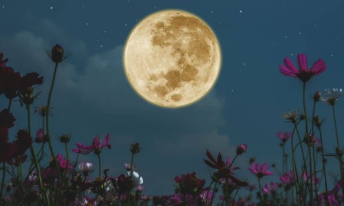 Luna Plină în Scorpion din mai-  una dintre cele mai magice luni ale anului!