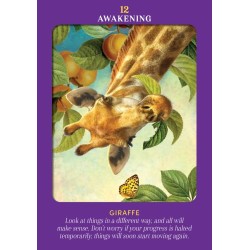 Animal Guides Tarot