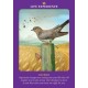 Animal Guides Tarot