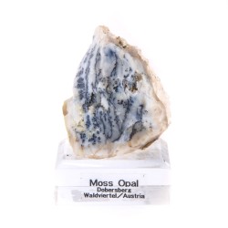 Opal Dendritic – Piatra conexiunii cu natura si a intelepciunii interioare