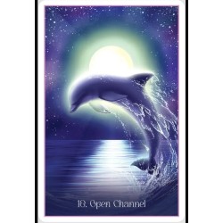 Whispers Of The Dolphin Heart Oracle
