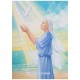 Manifesting with the Fairies Oracle Manifesting with the Fairies Oracle