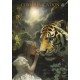 Soul Coaching Oracle Cards Soul Coaching Oracle Cards