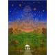 The Earth and Sky Oracle The Earth and Sky Oracle