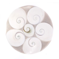 Farfurie Ochi de Shiva – Decor Energetic și Amplificator de Energie