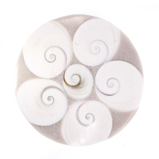 Farfurie Ochi de Shiva – Decor Energetic și Amplificator de Energie