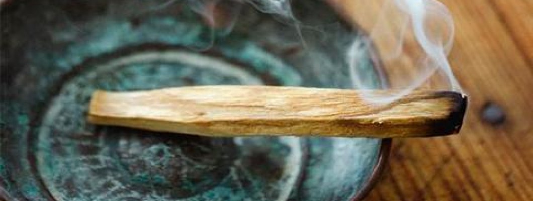 Palo Santo: Mod de utilizare, beneficii și de unde să îl cumperi responsabil