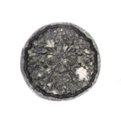 Green Man din Preseli Stone – Simbolul Renasterii si al Fortei Naturii