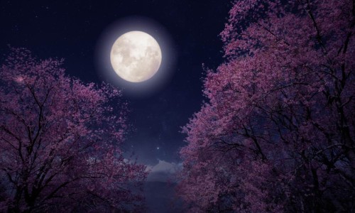 Luna Plină în Capricorn vine la doar o zi după solstițiul de vară