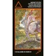 Manara - Tarot Erotic