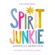 Spirit Junkie