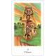 Vision Quest Tarot