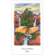 Vision Quest Tarot