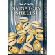 Buzios Divinatory Shells