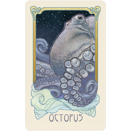 Dreamscape Oracle Deck