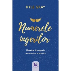 Numerele ingerilor – Kyle Gray