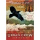 Urban Crow Oracle