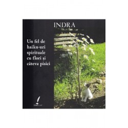 Indra - Un fel de haiku-uri spirituale