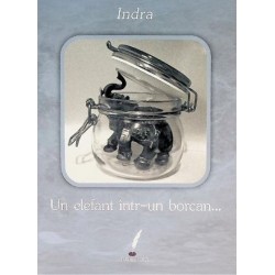 Indra - Un elefant intr-un borcan