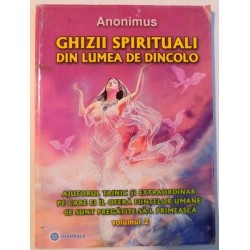 Ghizii spirituali din lumea de dincolo