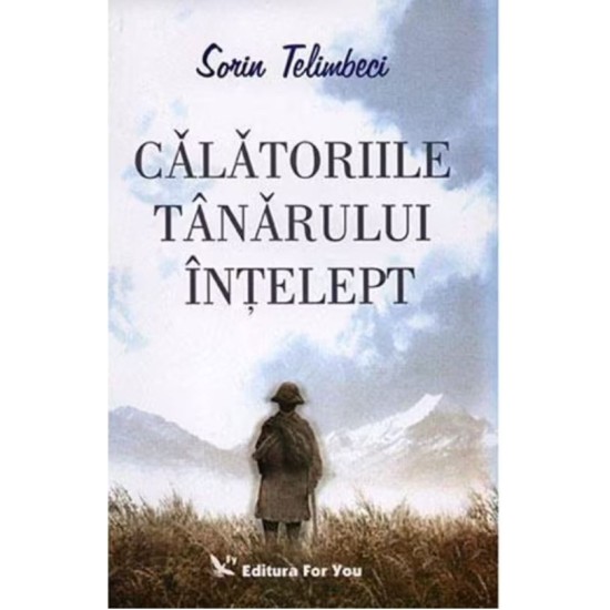 Calatoriile tanarului intelept - Sorin Telimbeci