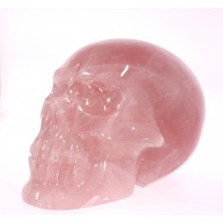 Craniu Cuart Roz