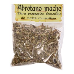 Ierburi pentru Ritual - Pelin (Artemisia abrotanum)