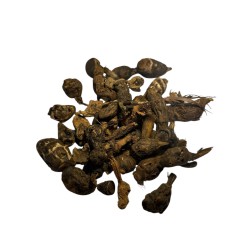 Rădăcina Gowe – Protecție, Energie și Conectare Spirituală