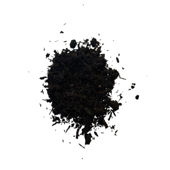 Tchurai Oriental – Mister, profunzime și purificare ancestrală