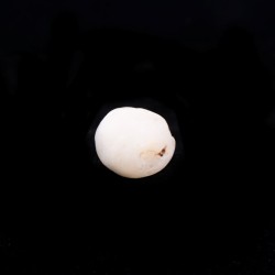 White Sheba 6 – Piatra purificării și a echilibrului interior