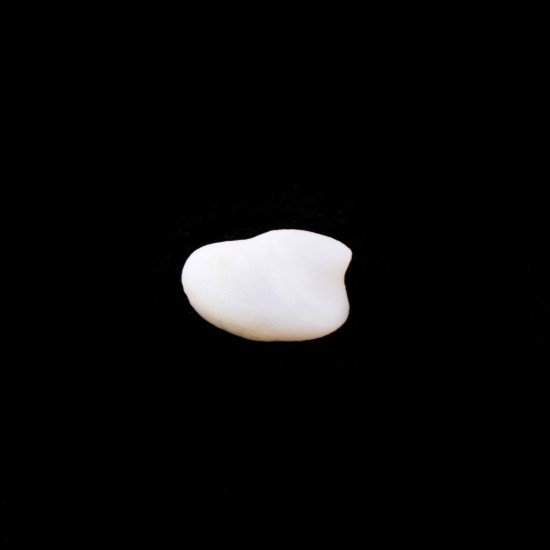 White Sheba 7 – Piatra purificării și a echilibrului interior