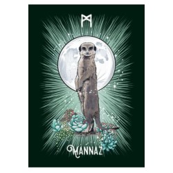 The Witch’s Familiar Runic Oracle